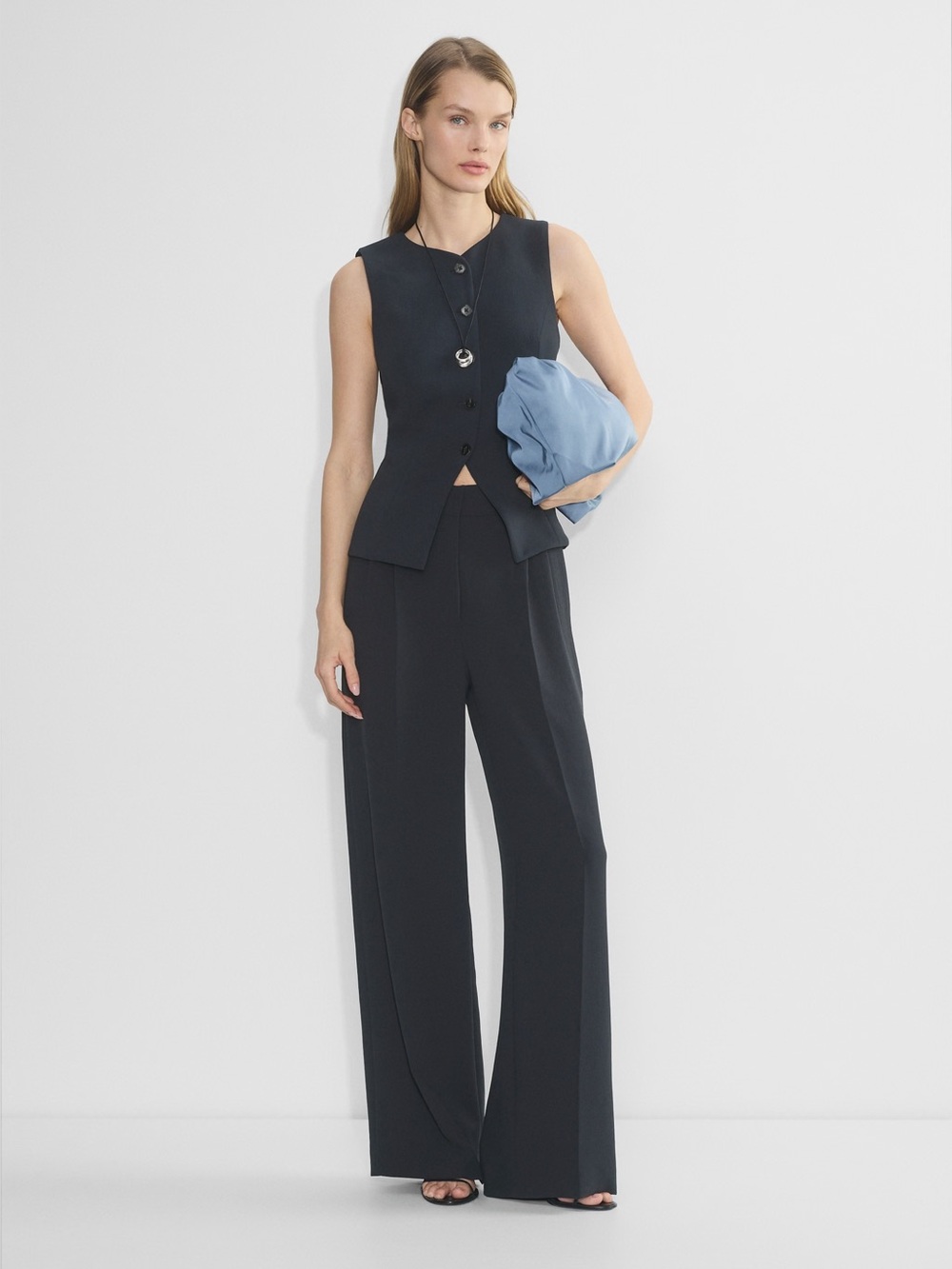 Aritzia Babaton black trousers